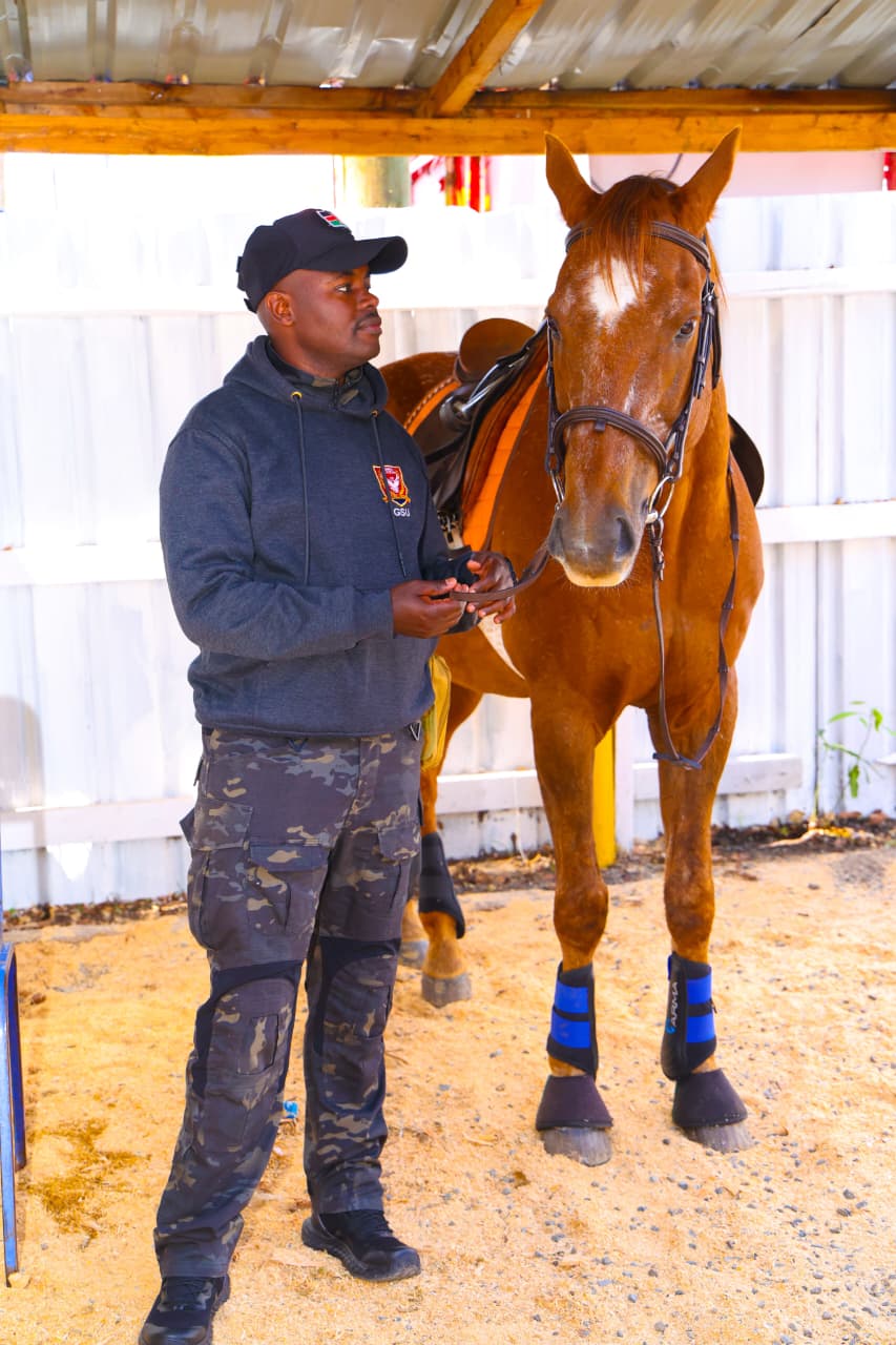 Horse Show