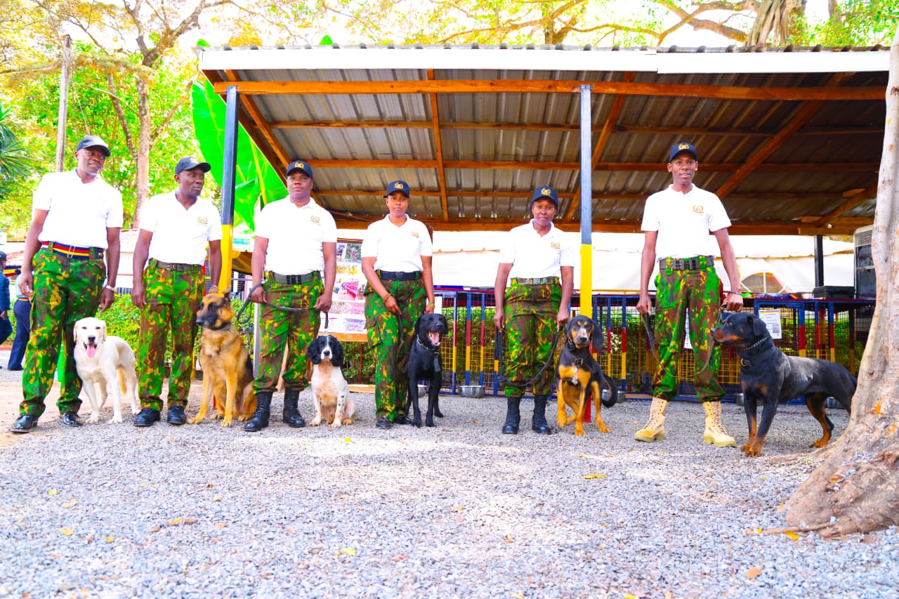 K9 Unit