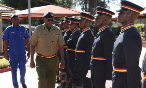 Parade inspection