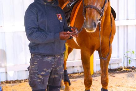 Horse